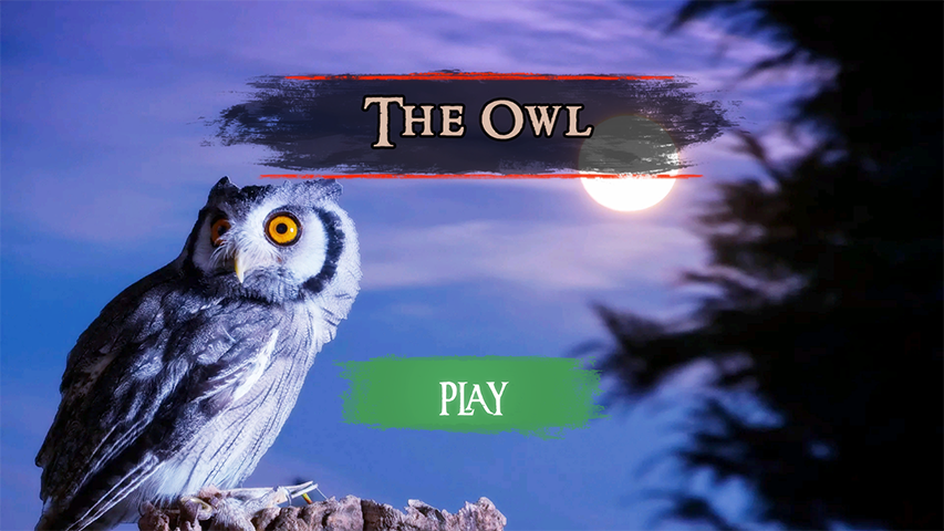اسکرین شات 2 بازی The Owl