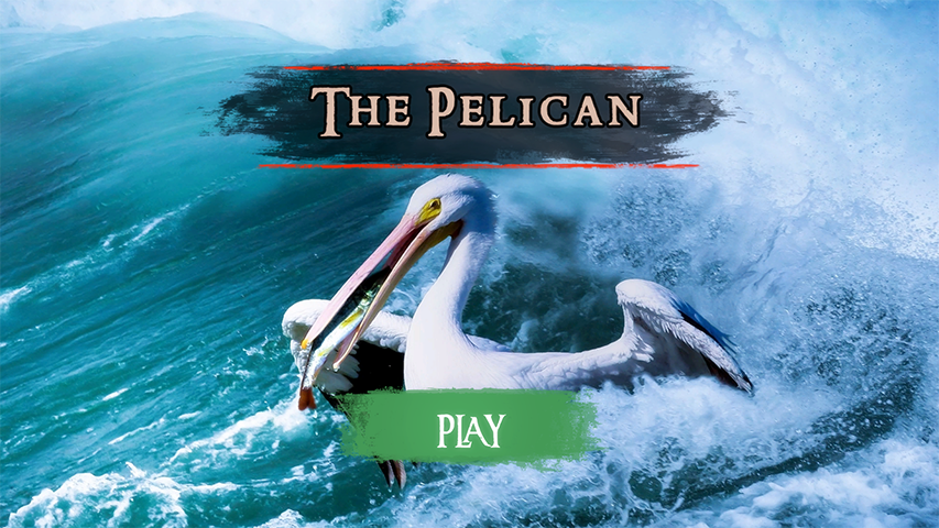 اسکرین شات 2 بازی The Pelican