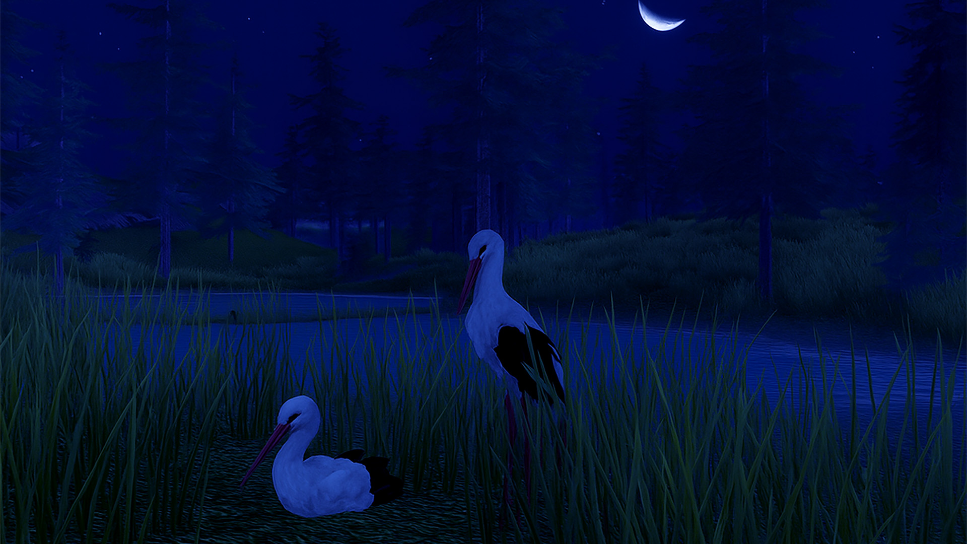 اسکرین شات 6 بازی The White Stork