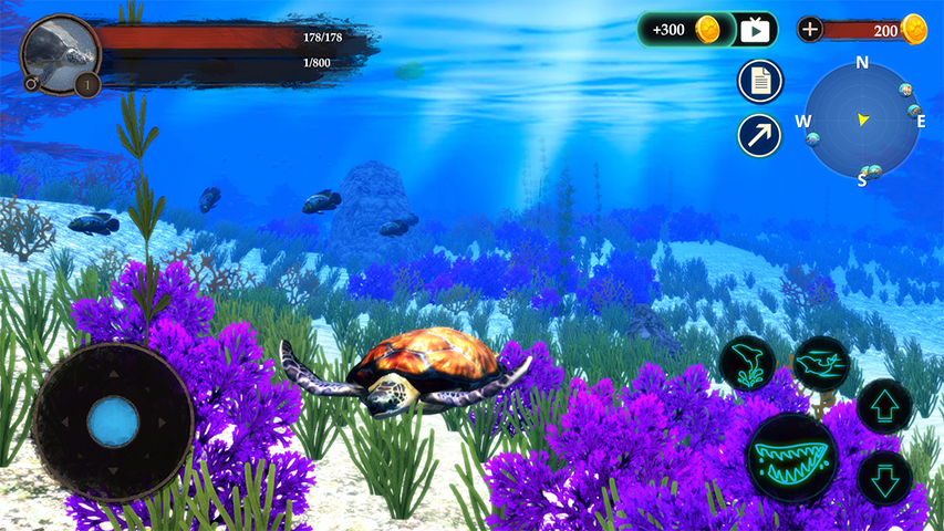 اسکرین شات 4 بازی The Turtle
