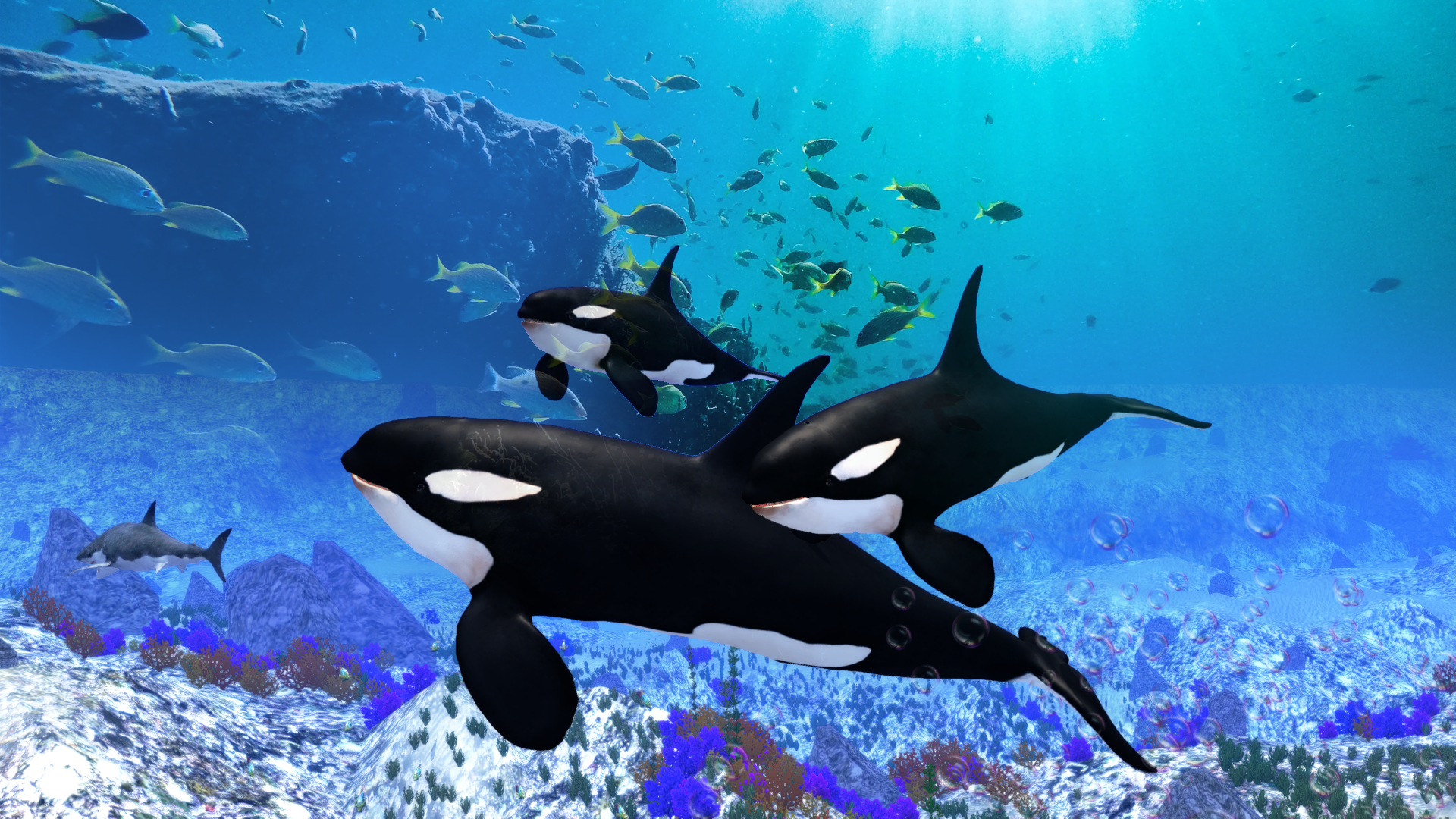 اسکرین شات 3 بازی The Killer Whale