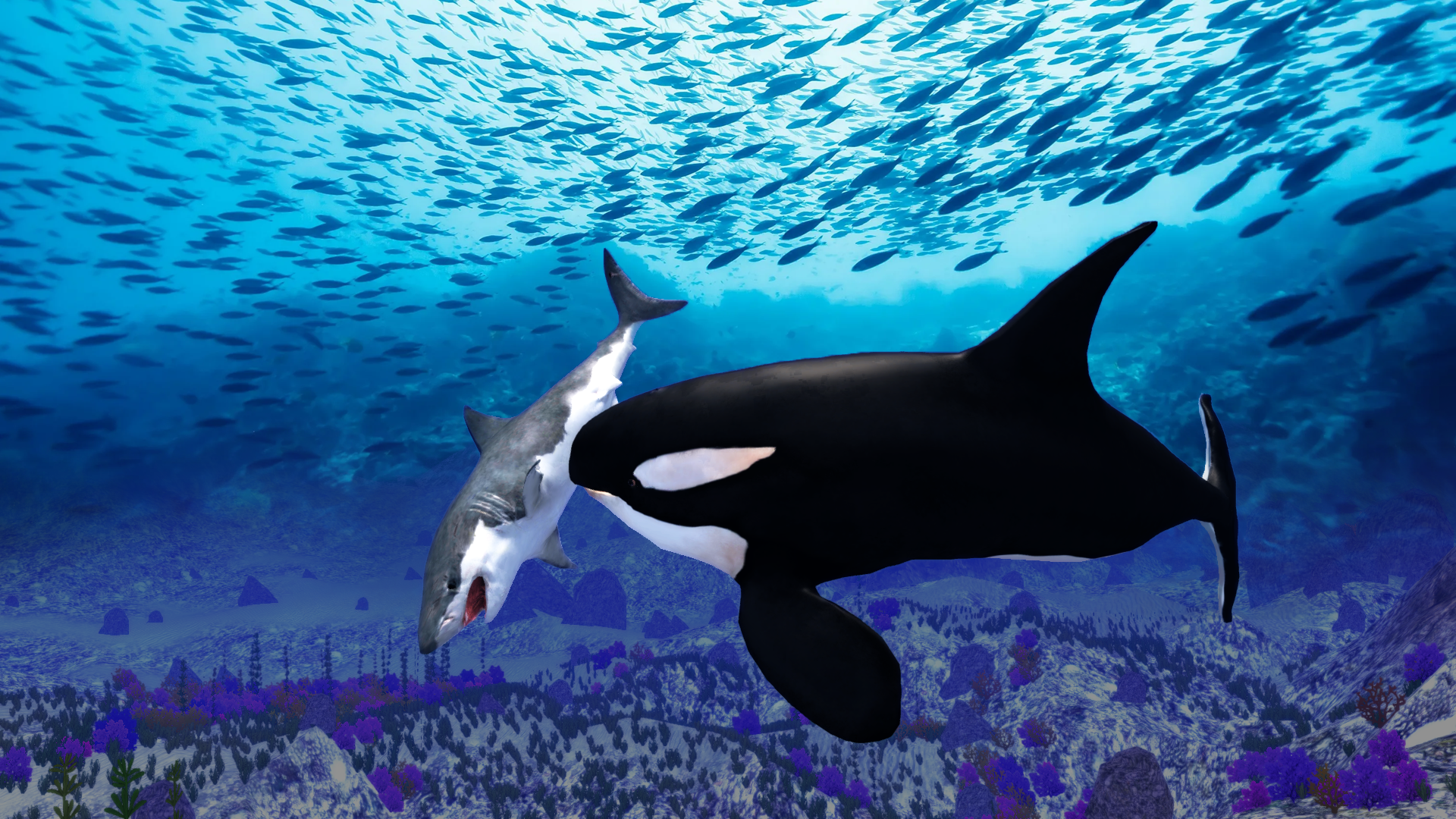 اسکرین شات 6 بازی The Killer Whale