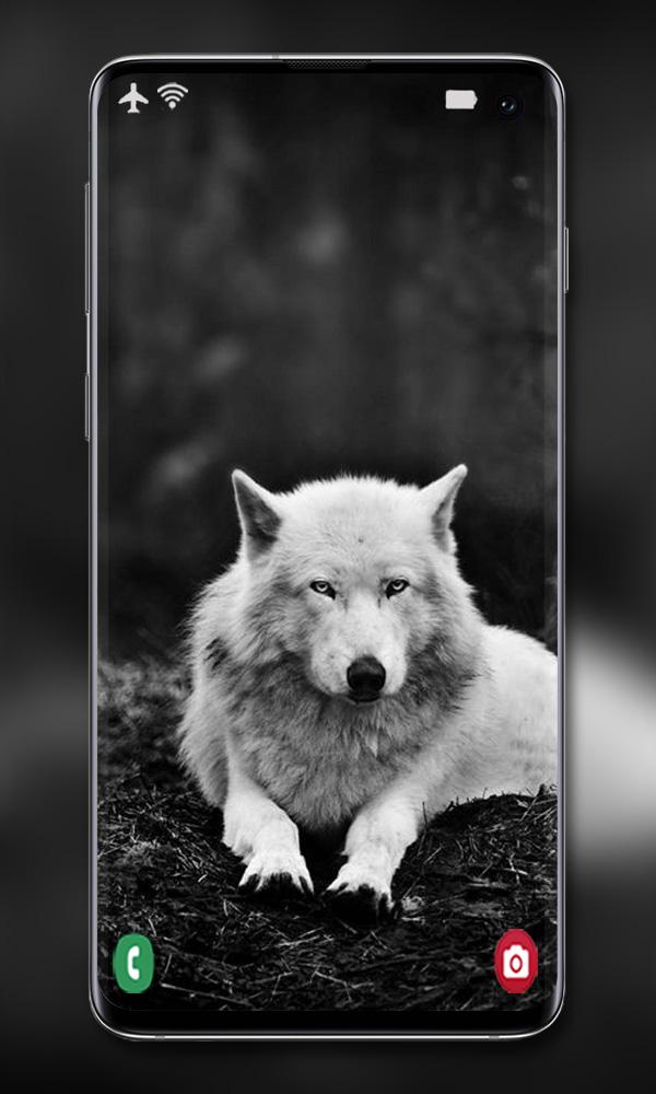 اسکرین شات 7 برنامه Wolf Wallpaper