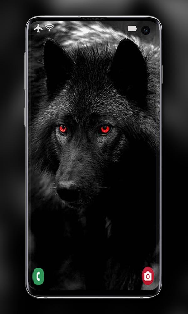 اسکرین شات 8 برنامه Wolf Wallpaper