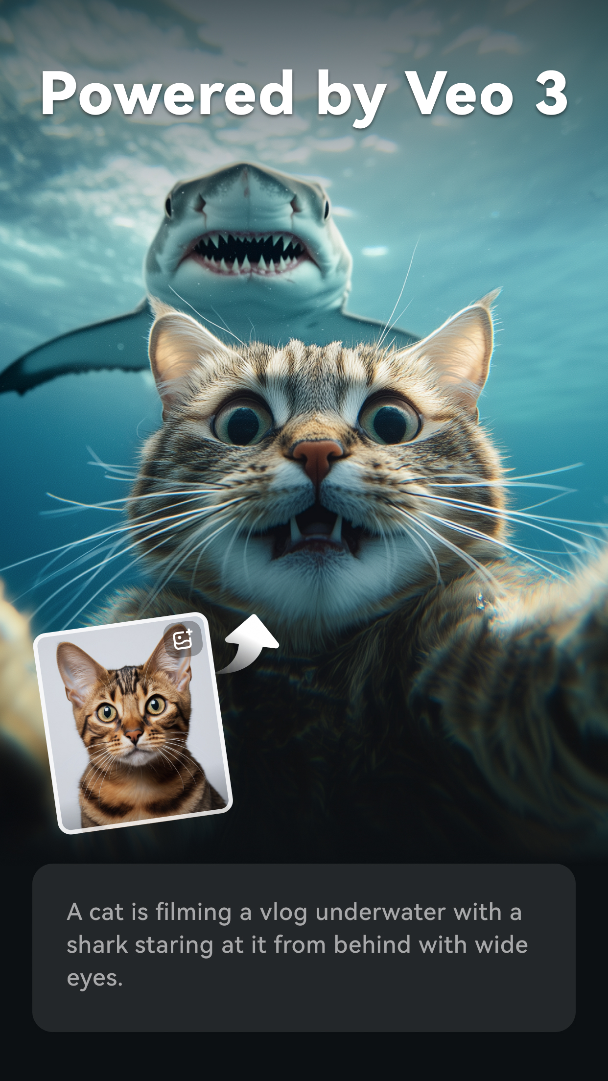 اسکرین شات 2 برنامه Filmora: AI Video Editor&Maker