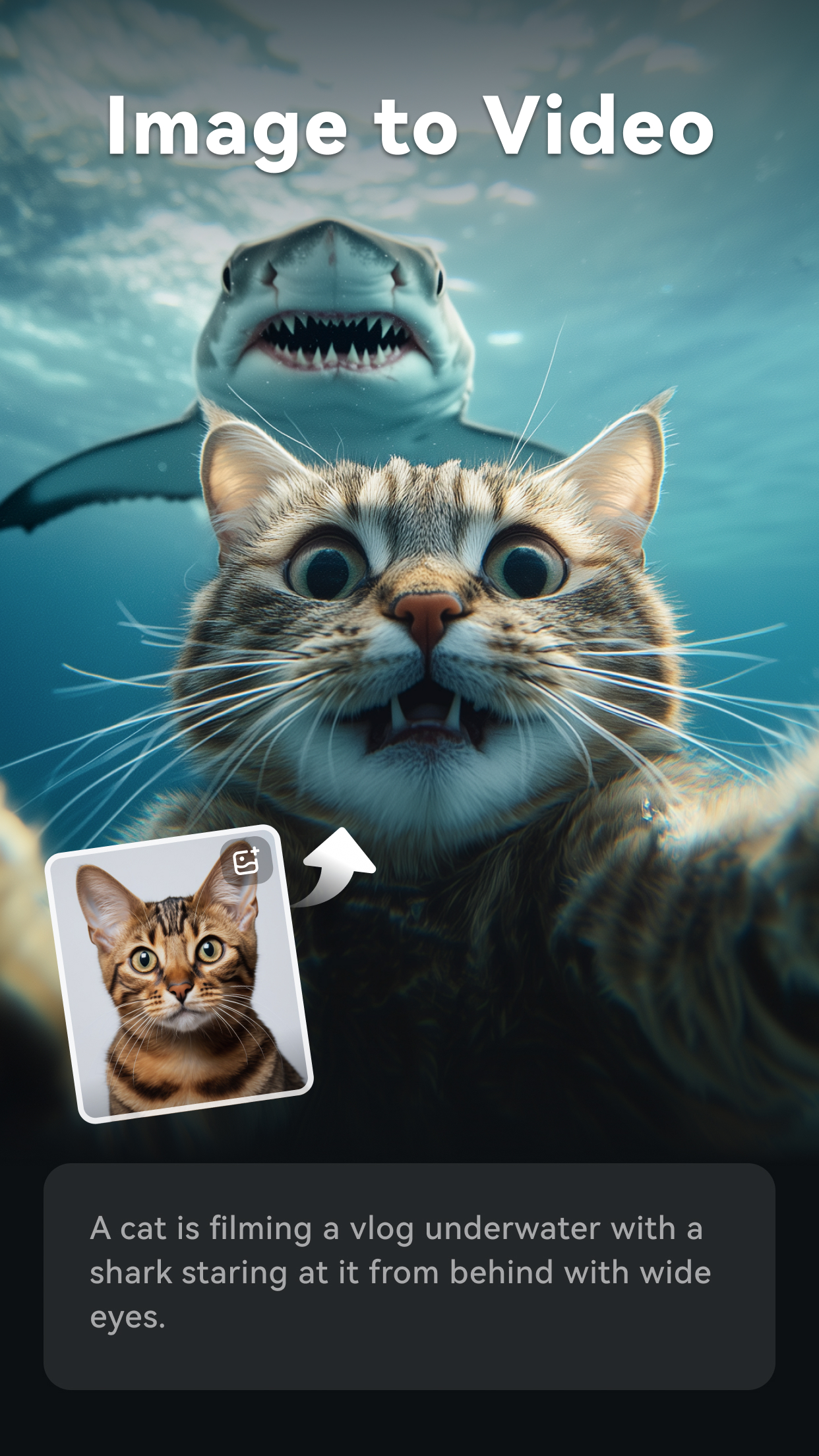 اسکرین شات 2 برنامه Filmora: AI Video Editor&Maker