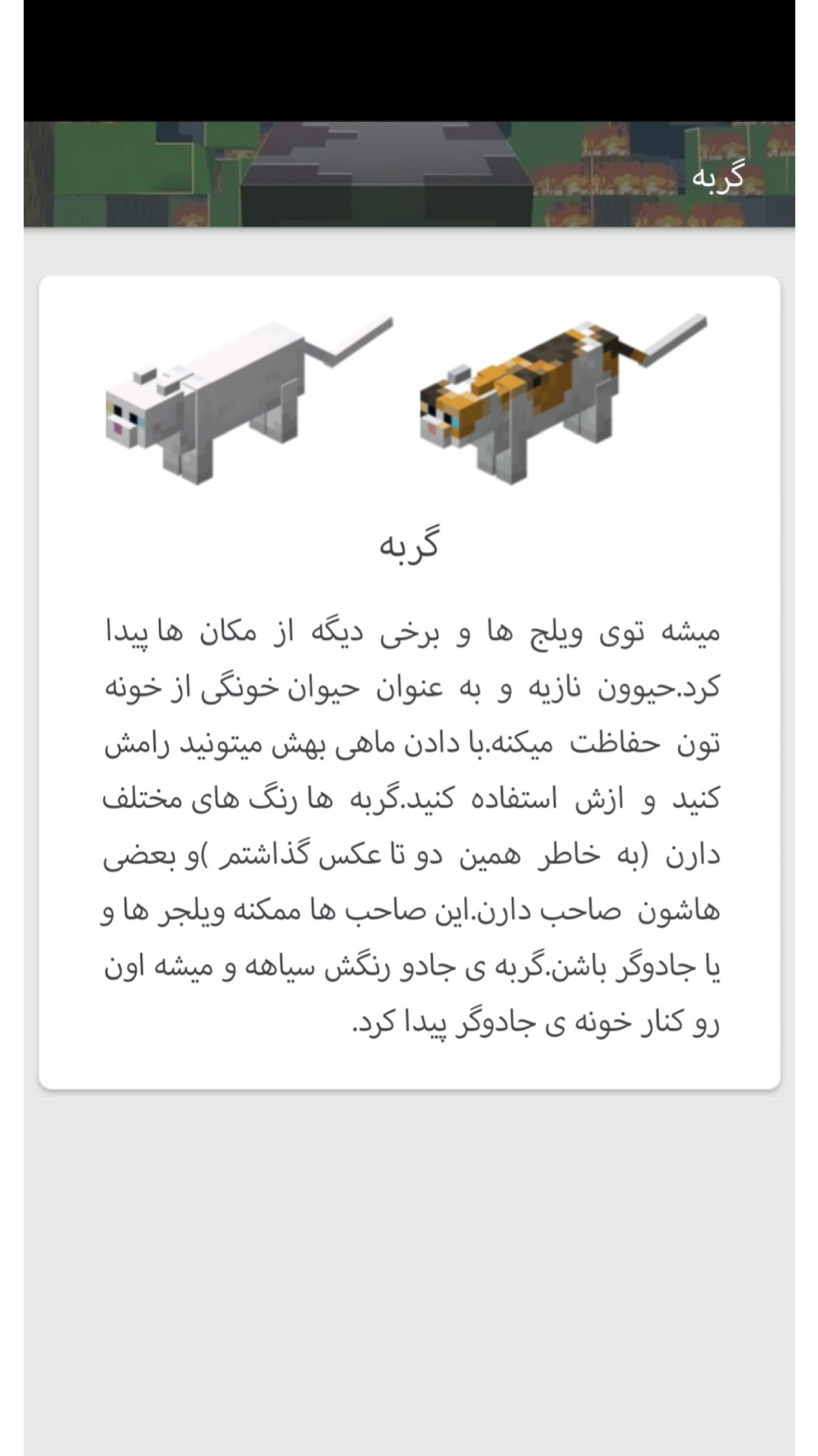 اسکرین شات 3 بازی ماینکرافت پرو پلیر