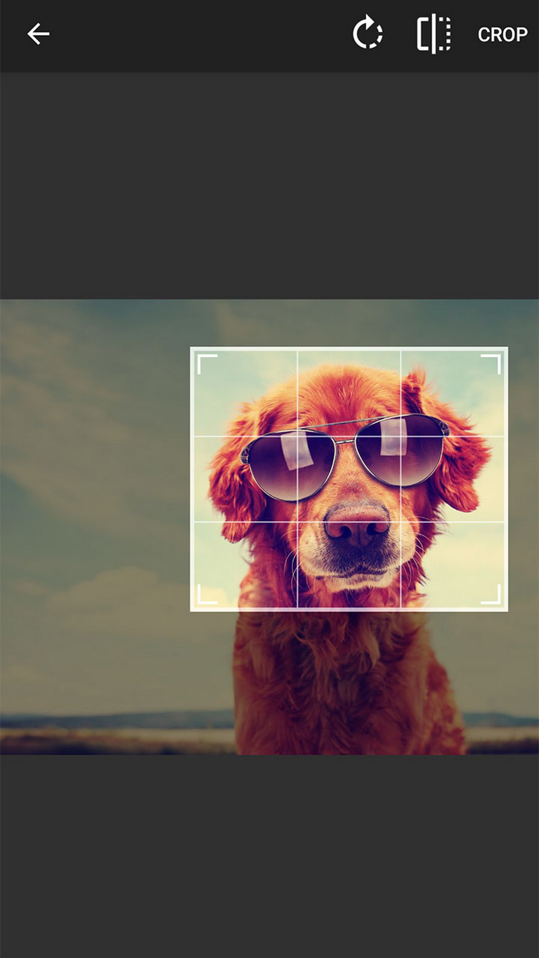 اسکرین شات برنامه Photo Resizer - Resize & Crop 3