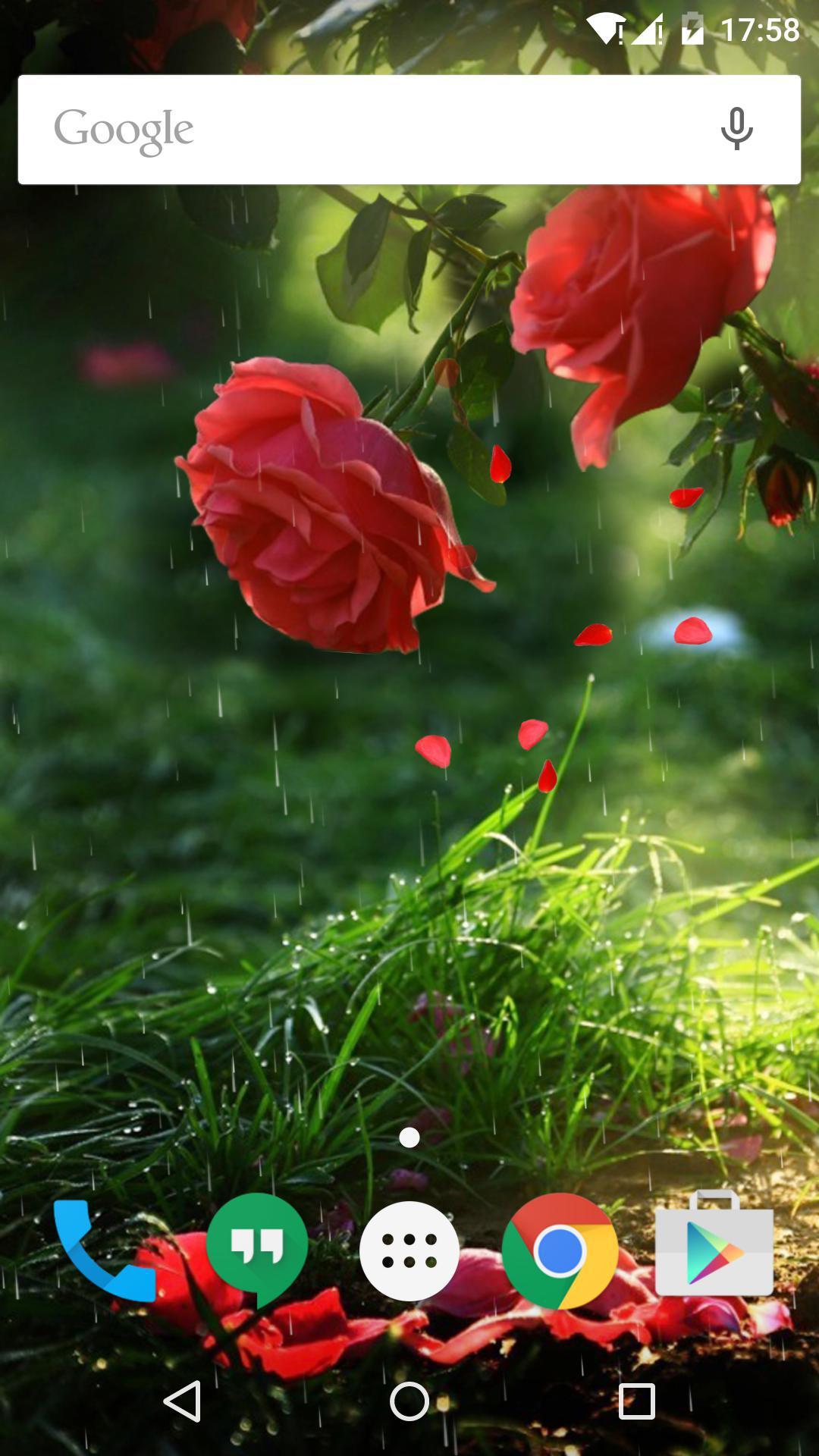 اسکرین شات 6 برنامه Red Rose Flower Live Wallpaper
