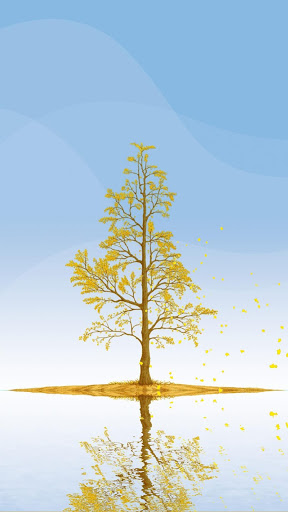 اسکرین شات 3 برنامه Ginkgo Tree Live Wallpaper