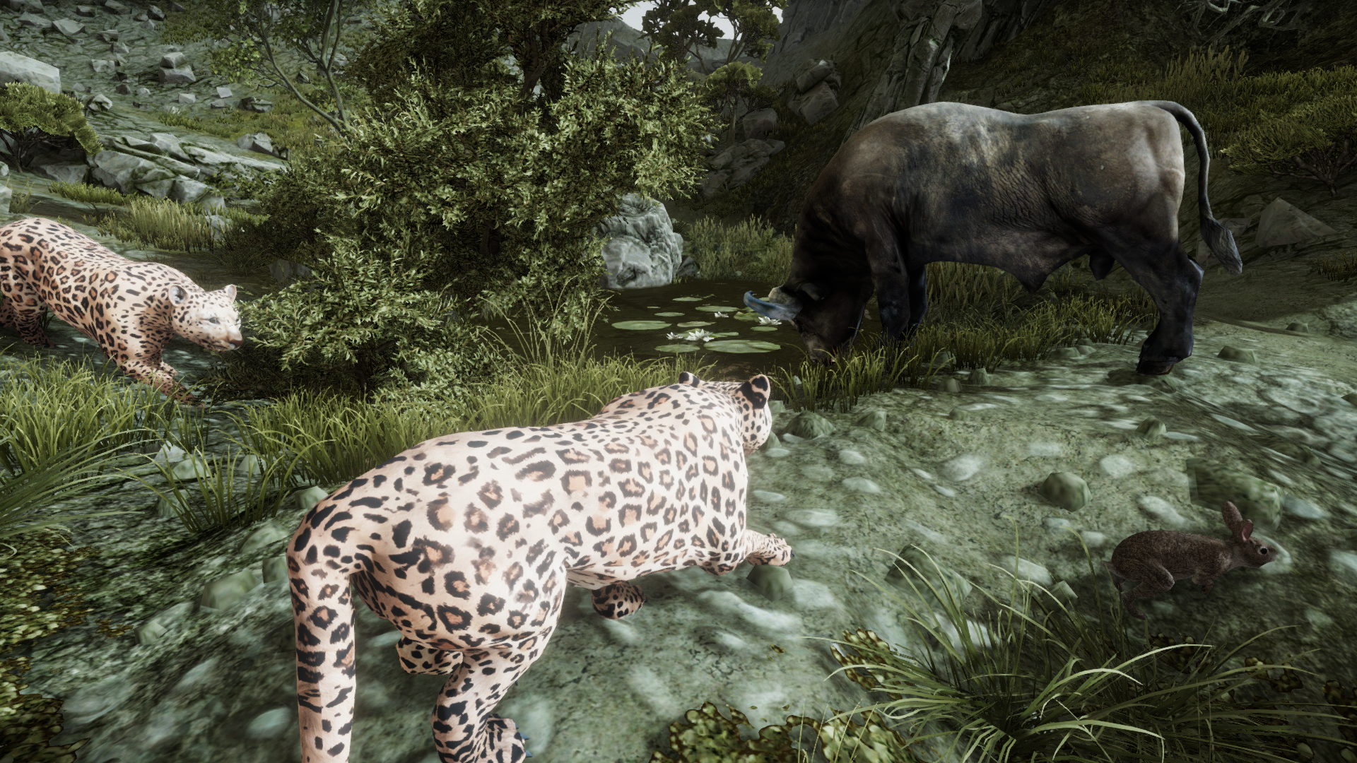 اسکرین شات 3 بازی Ultimate Leopard Simulator