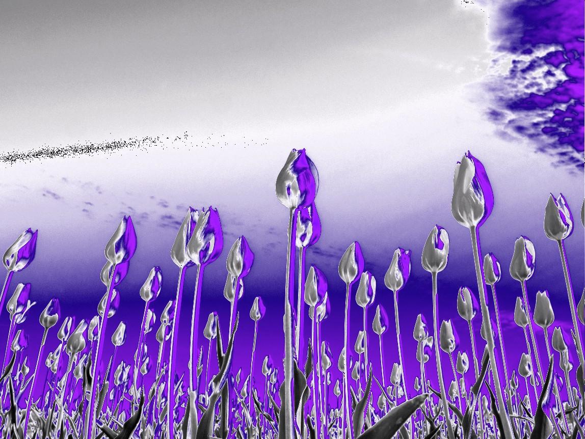 اسکرین شات 8 بازی Thermal scanner camera VR