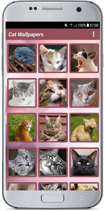 اسکرین شات 1 برنامه CUTE CAT WALLPAPERS