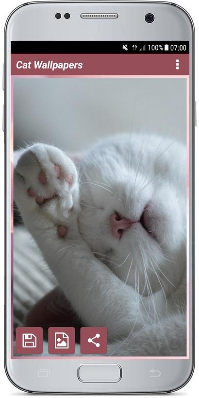 اسکرین شات 5 برنامه CUTE CAT WALLPAPERS