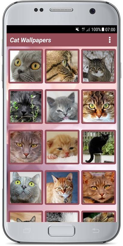 اسکرین شات 3 برنامه CUTE CAT WALLPAPERS