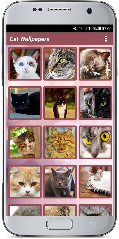 اسکرین شات 2 برنامه CUTE CAT WALLPAPERS