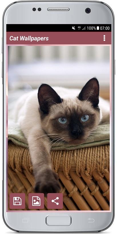 اسکرین شات 6 برنامه CUTE CAT WALLPAPERS
