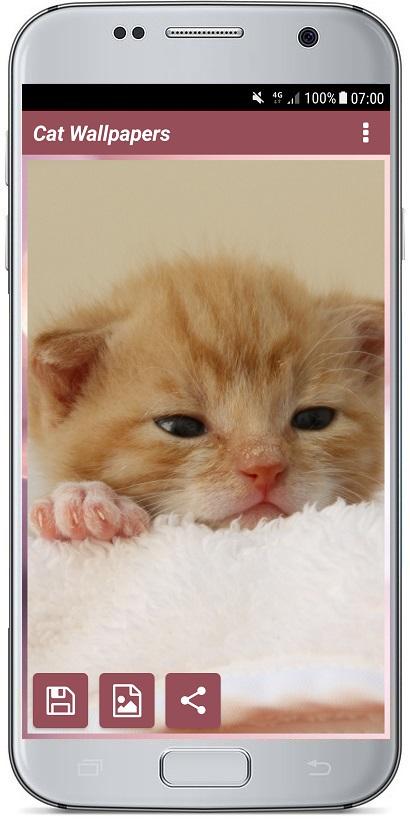 اسکرین شات 4 برنامه CUTE CAT WALLPAPERS