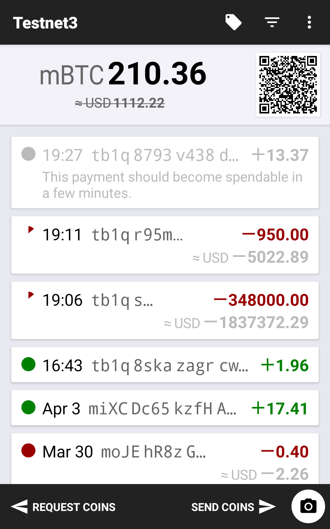 اسکرین شات 1 برنامه Testnet Wallet
