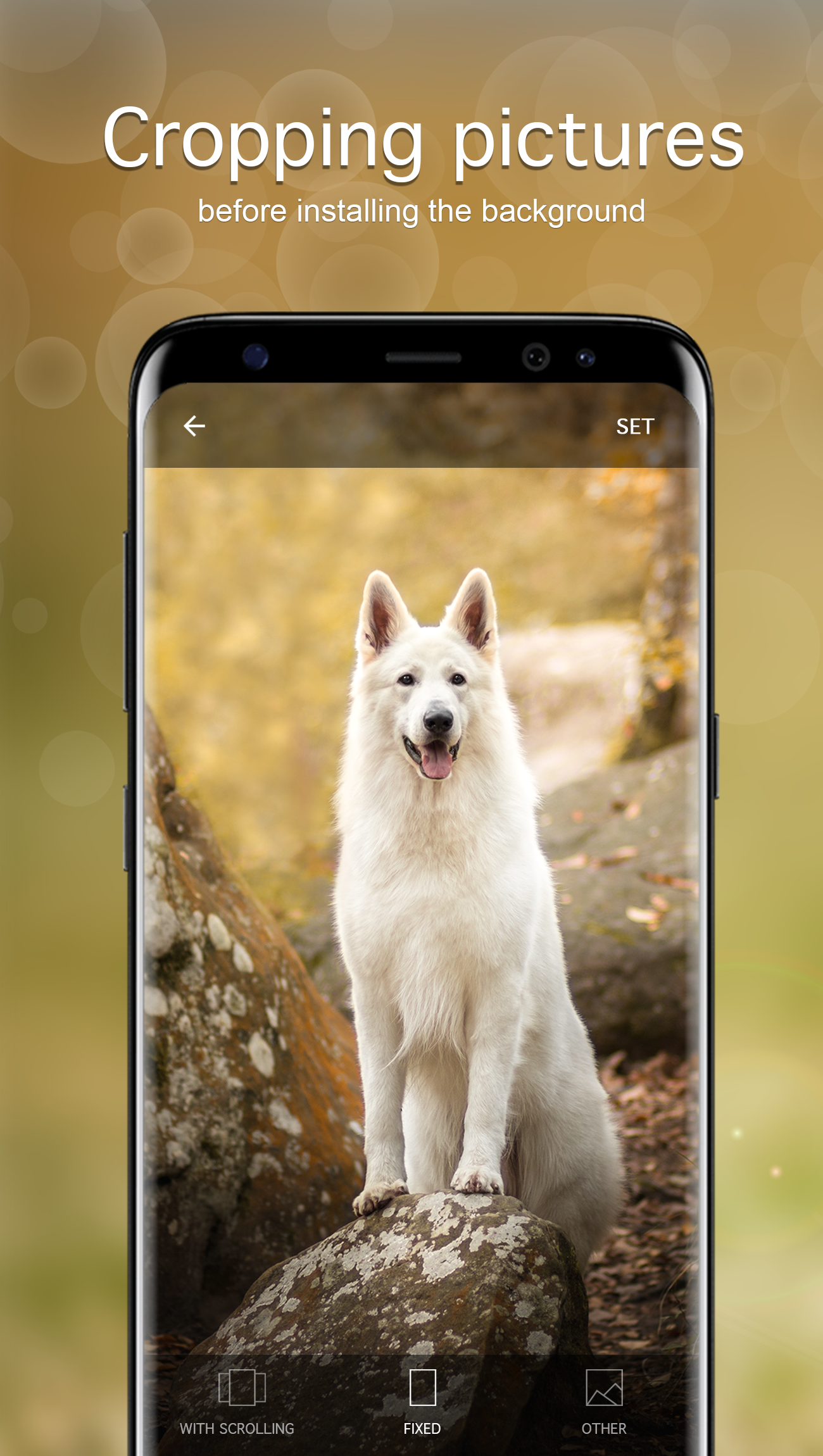 اسکرین شات 4 برنامه Dog Wallpapers & Puppy 4K