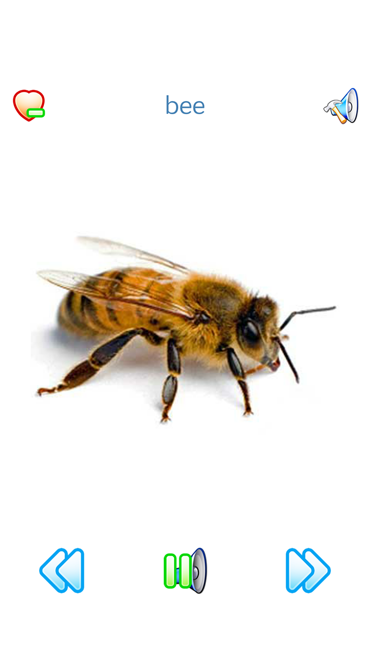 اسکرین شات 3 برنامه Sounds of Fauna + ringtones