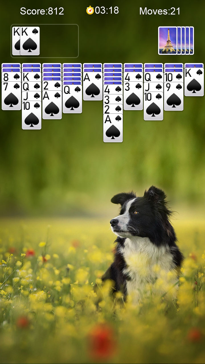 اسکرین شات 6 بازی Spider Solitaire-Card Games