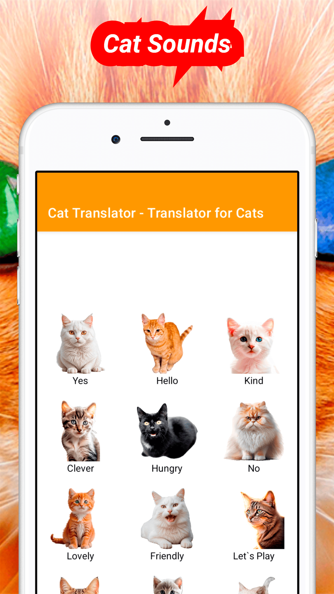 اسکرین شات 3 بازی Translator for Cats Prank