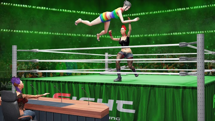 اسکرین شات 1 بازی Tag Team Wrestling Superstars Fight: Hell In Cell