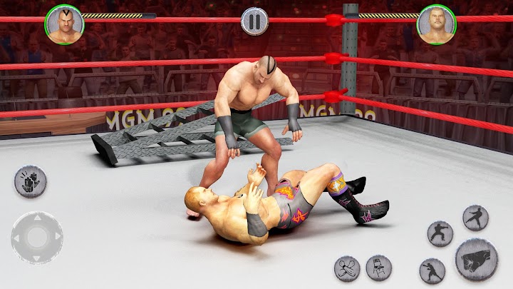 اسکرین شات 2 بازی Tag Team Wrestling Superstars Fight: Hell In Cell
