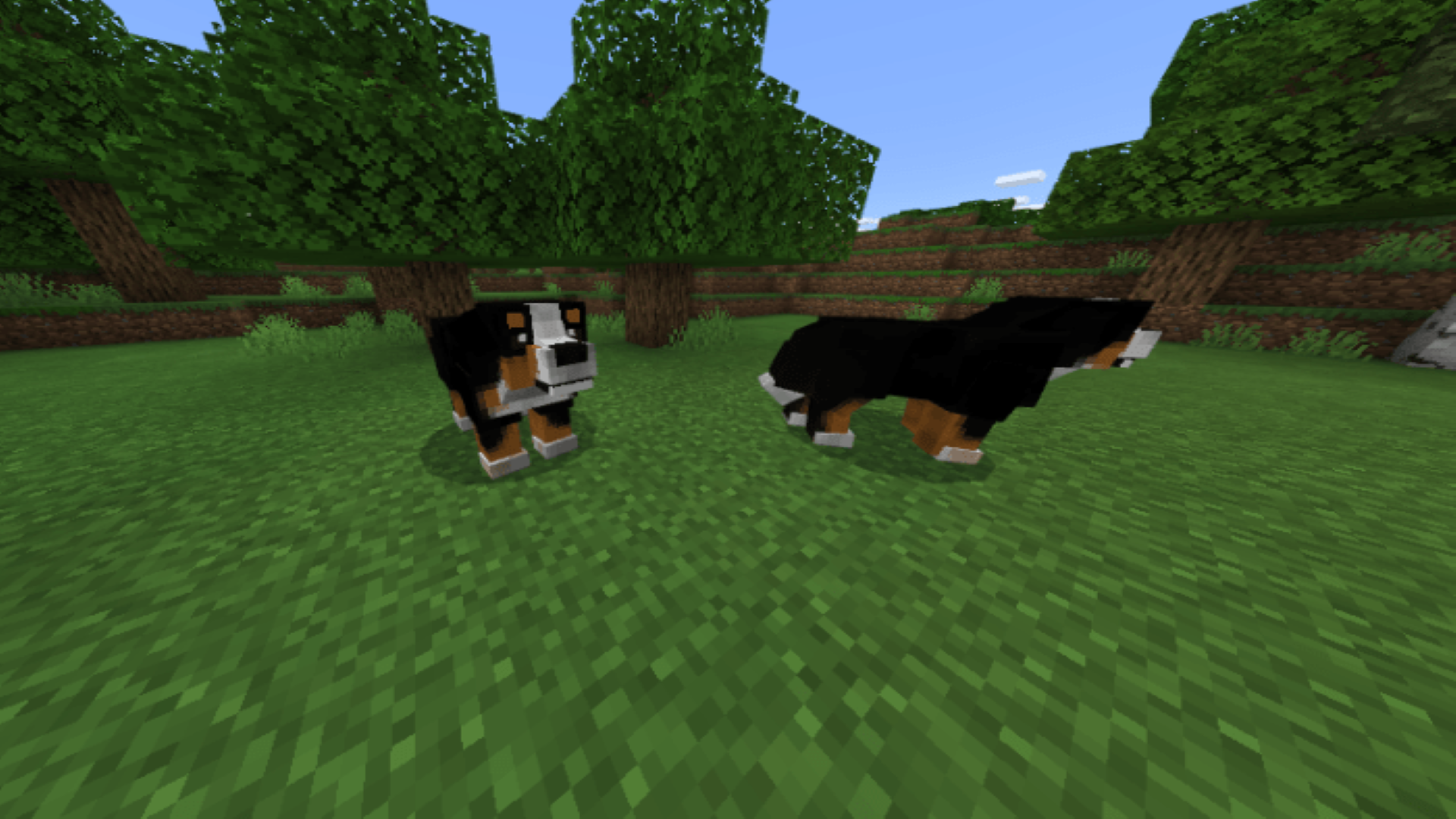 اسکرین شات 7 برنامه MCPE Pocket Pets