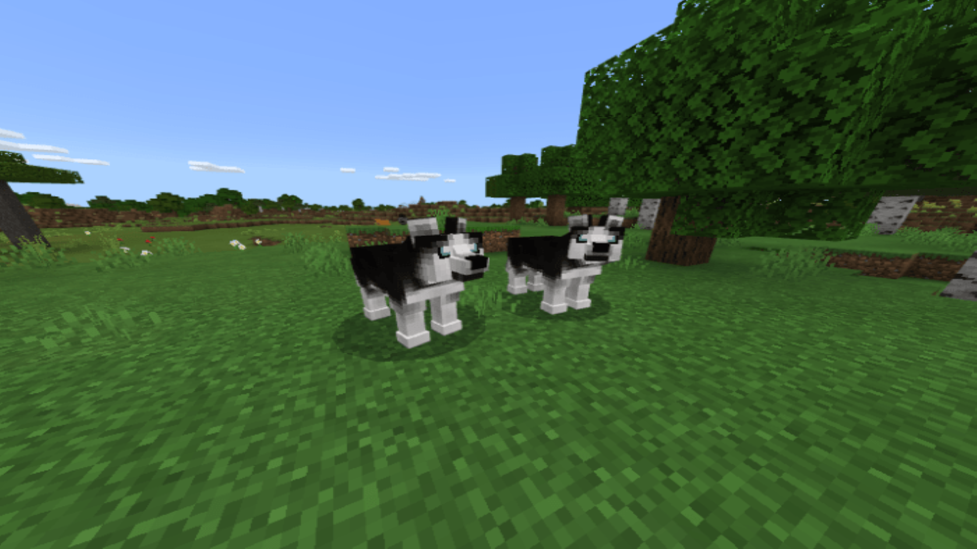 اسکرین شات 6 برنامه MCPE Pocket Pets