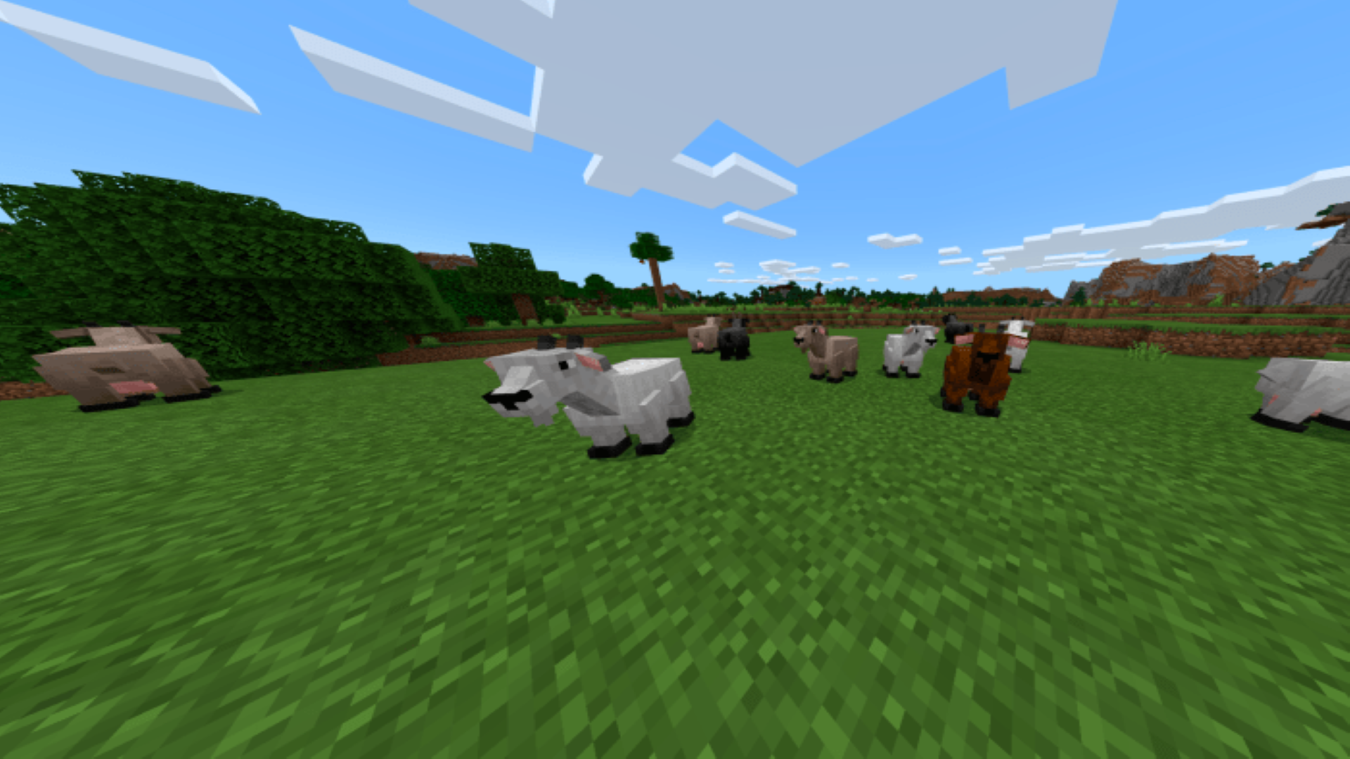 اسکرین شات 3 برنامه MCPE Farm Mod and Pets
