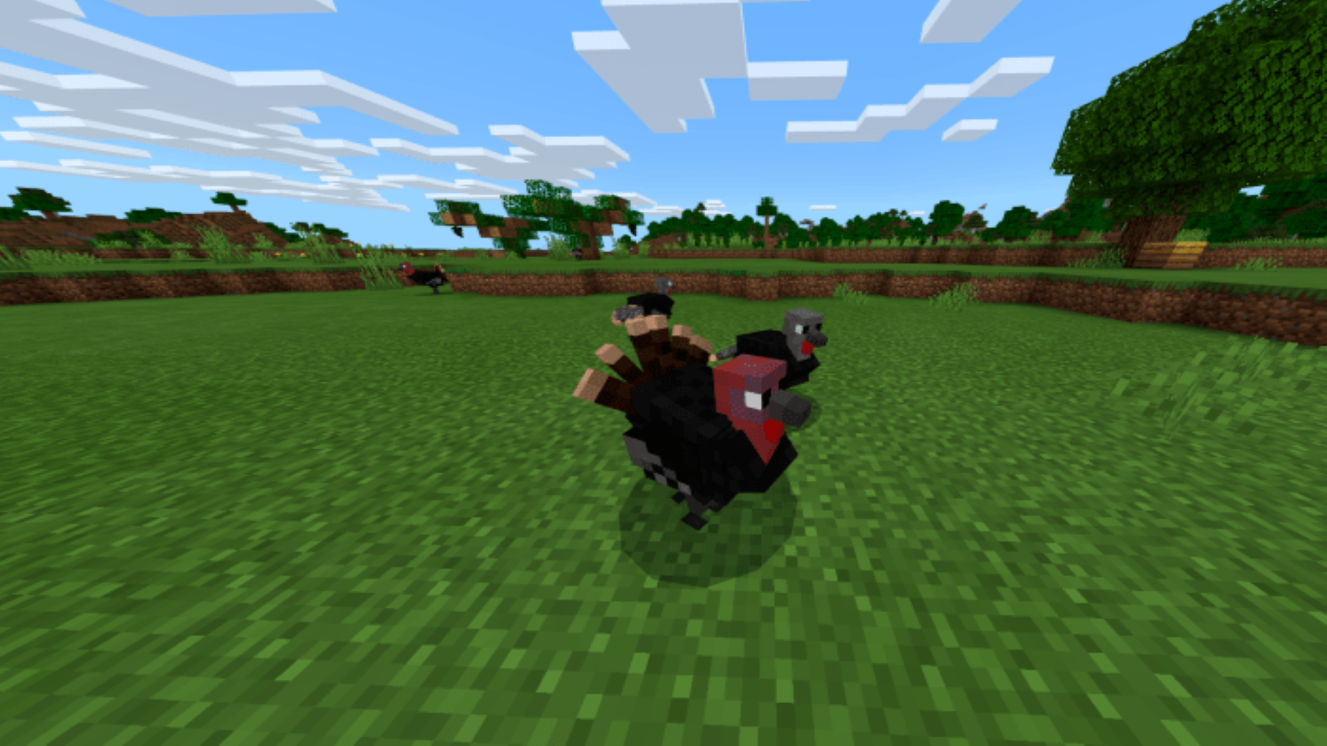 اسکرین شات 4 برنامه MCPE Farm Mod and Pets