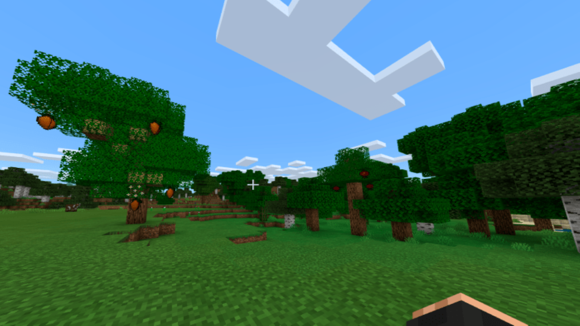 اسکرین شات 6 برنامه MCPE Farm Mod and Pets