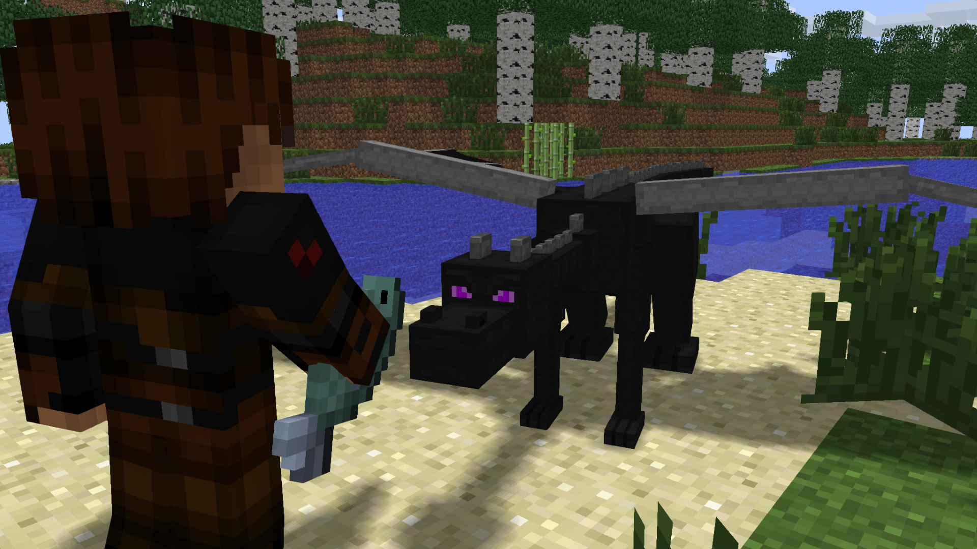 اسکرین شات 5 برنامه MCPE How to Train Dragon