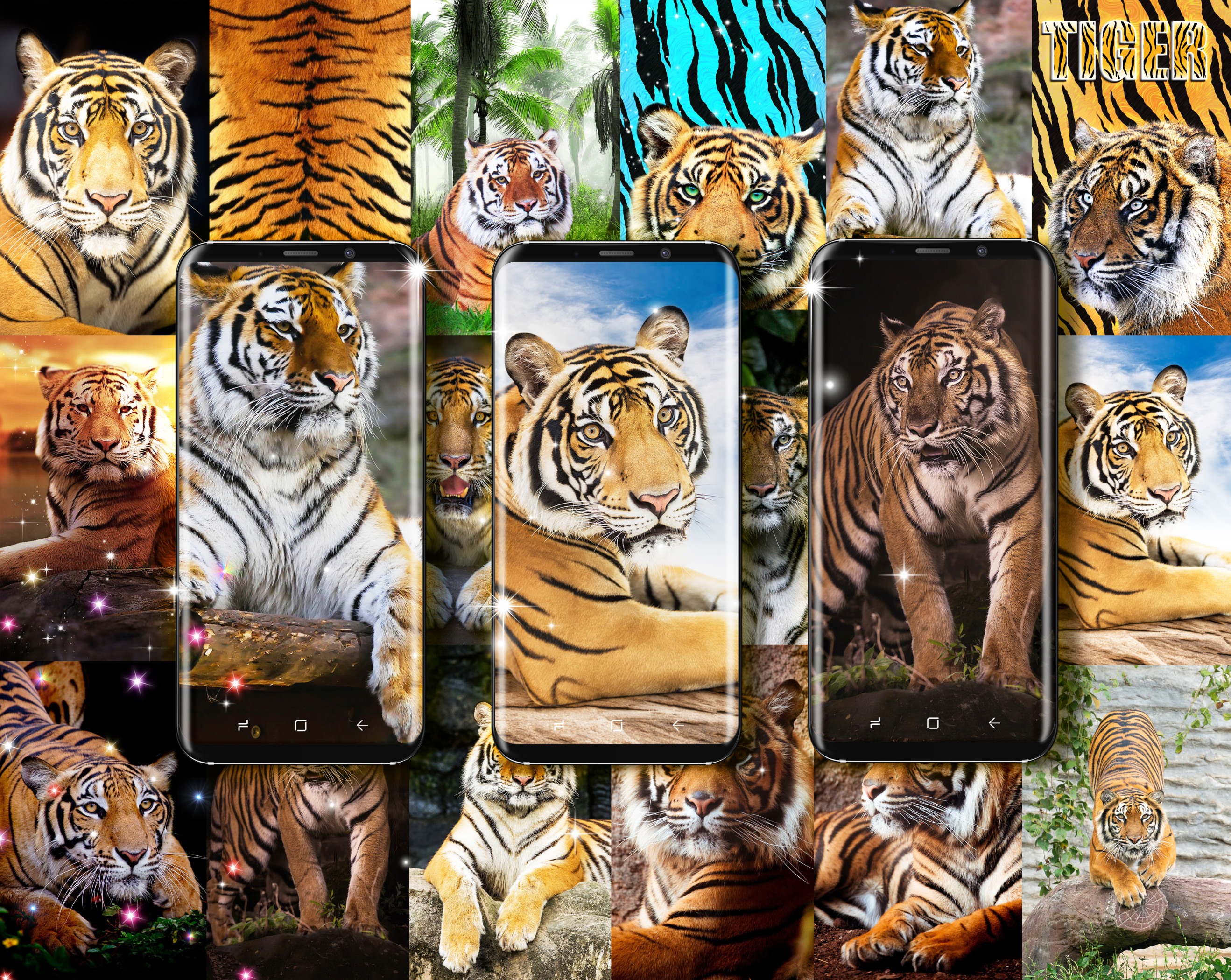 اسکرین شات 2 برنامه Tiger live wallpaper
