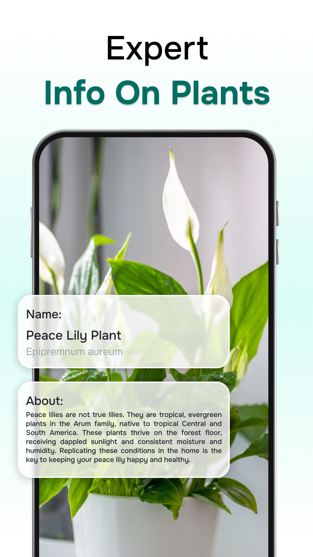 اسکرین شات برنامه ‎Florant: Ai Plant Identifier 5