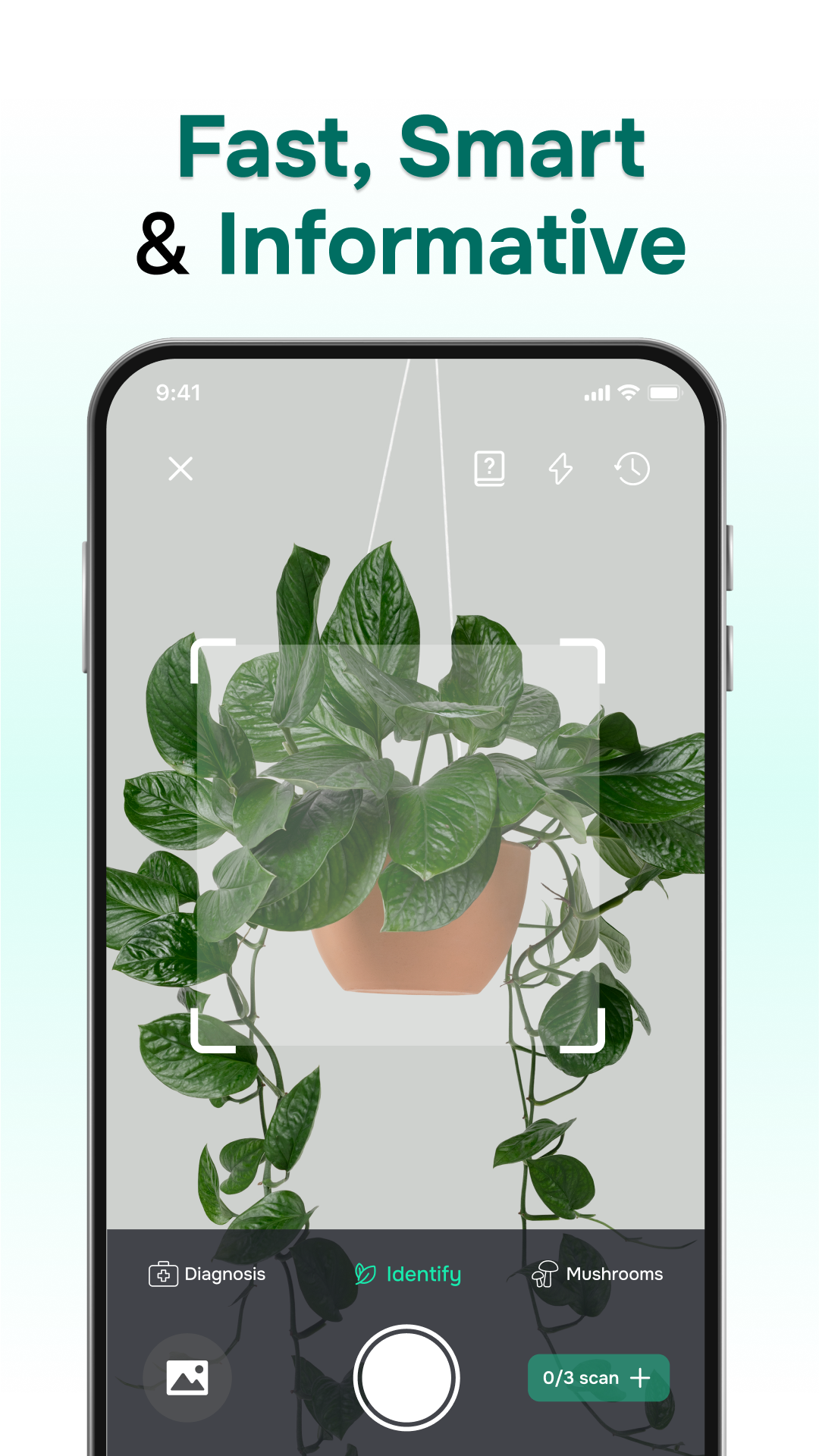 اسکرین شات برنامه ‎Florant: Ai Plant Identifier 6