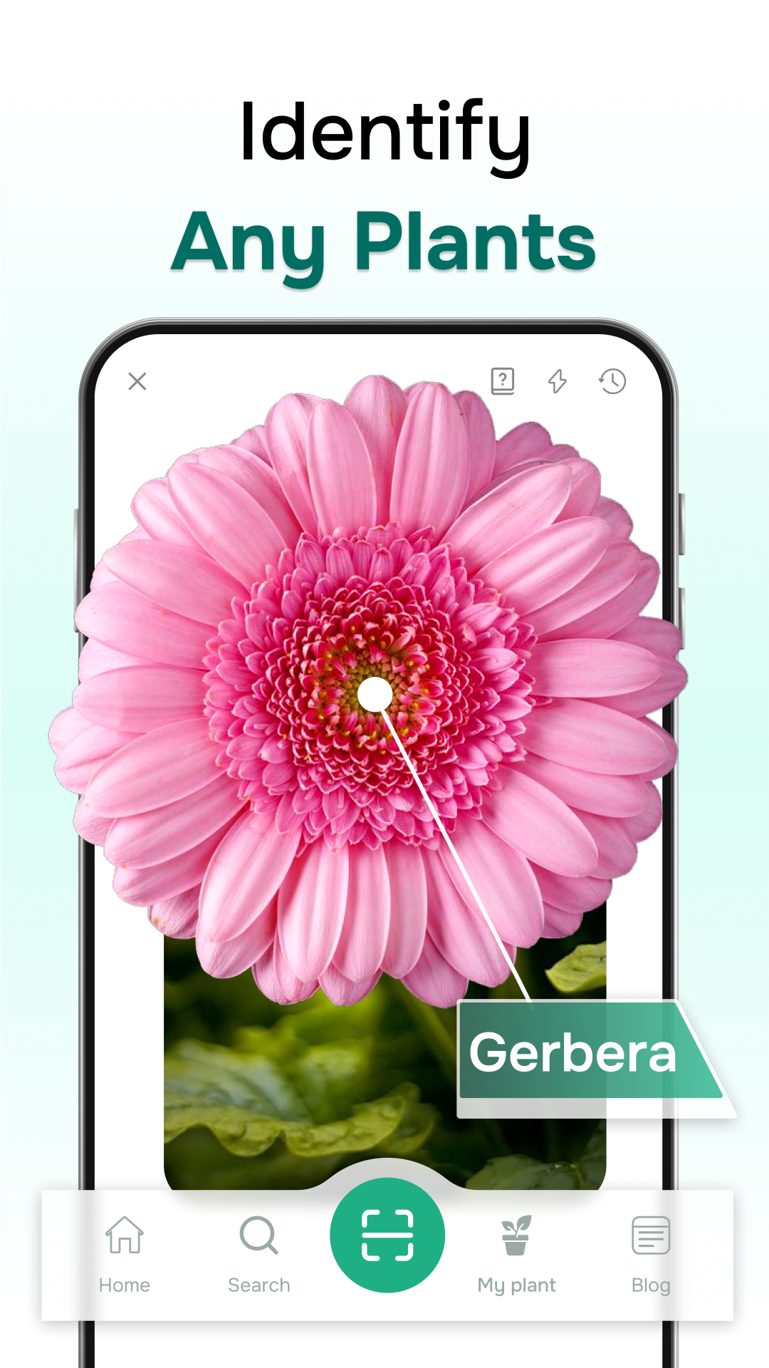 اسکرین شات برنامه ‎Florant: Ai Plant Identifier 1