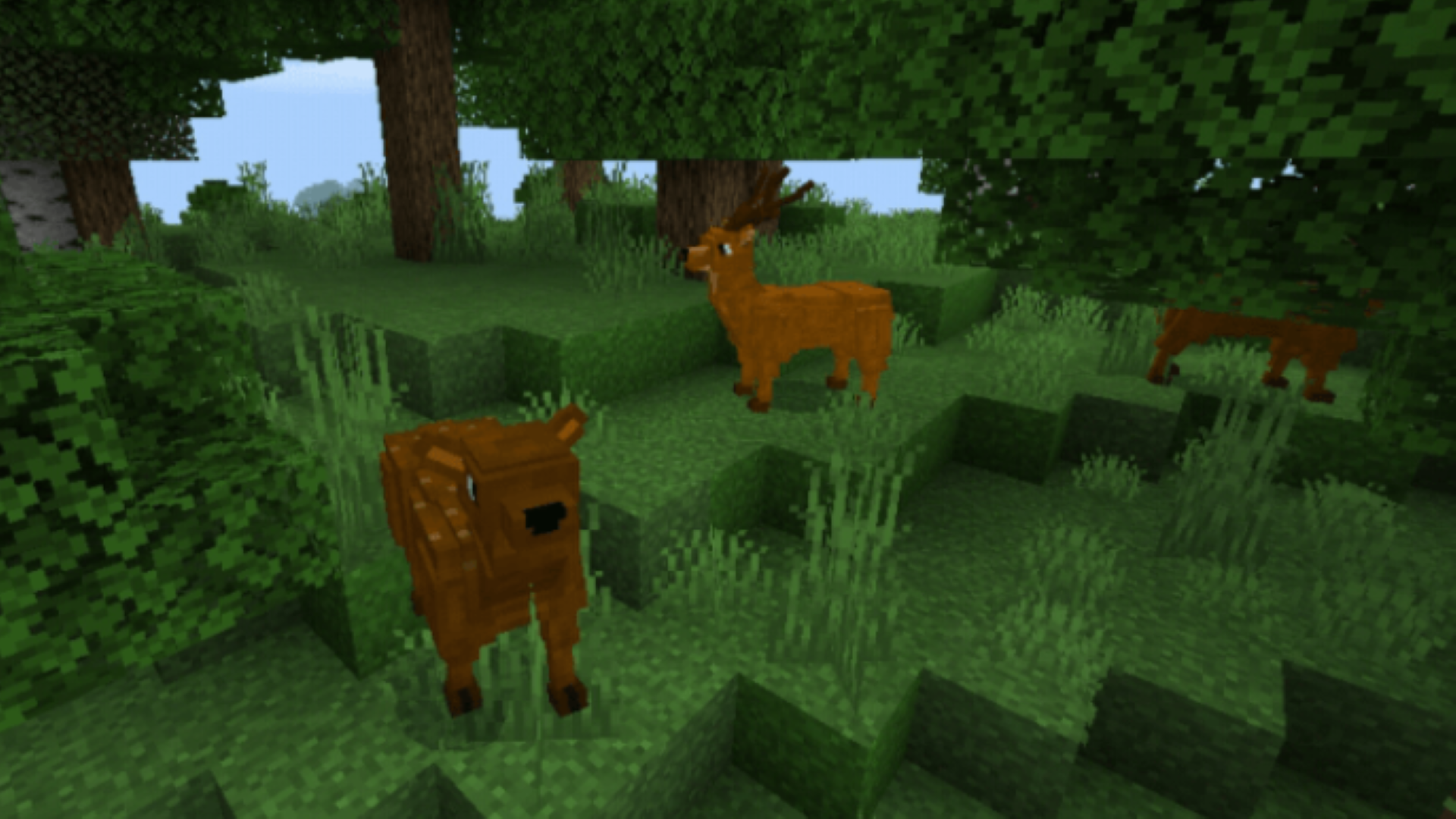 اسکرین شات 3 برنامه Craftsman Animal Creatures