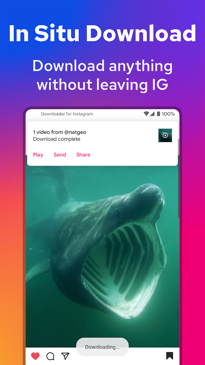 اسکرین شات 3 برنامه Downloader for Instagram: Video Photo Story Saver