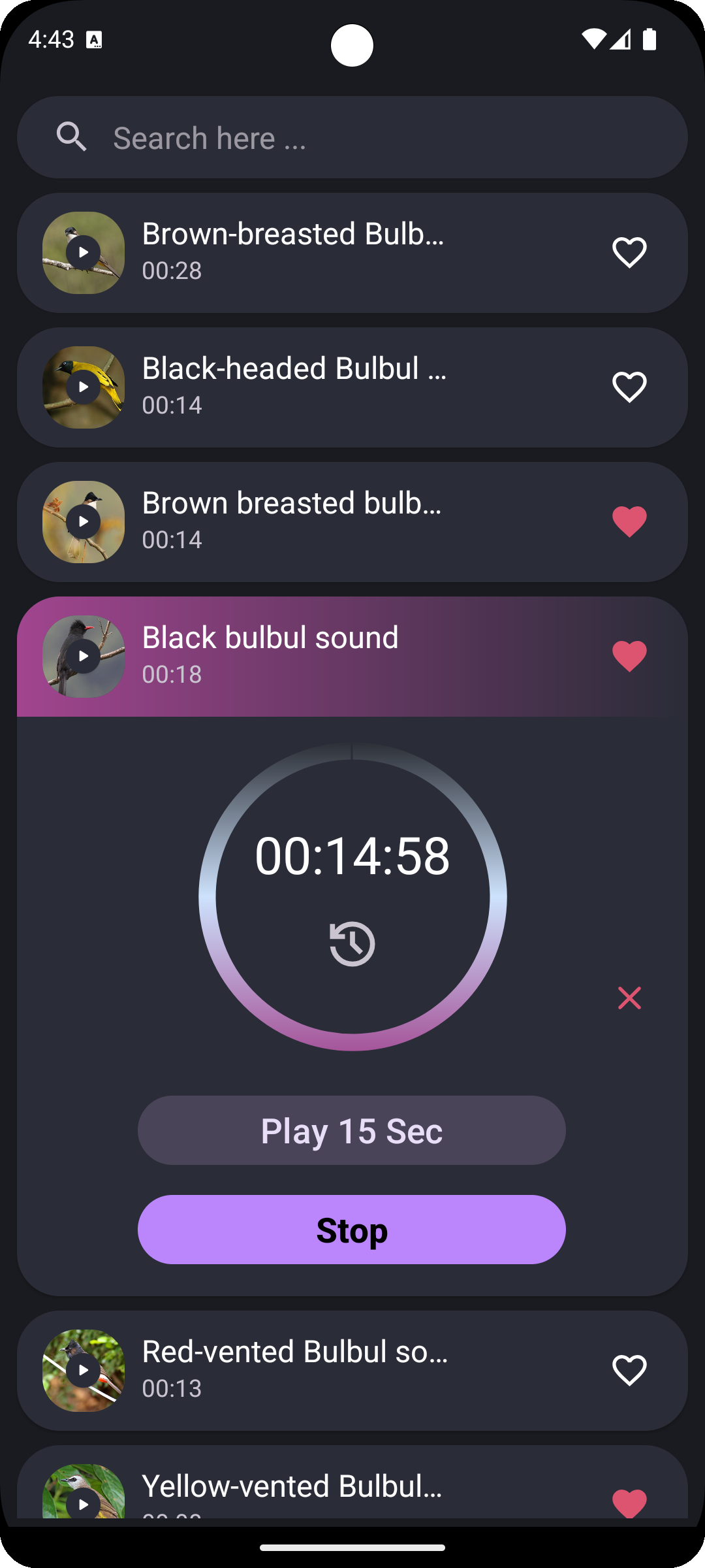 اسکرین شات 3 برنامه Bulbul bird sounds