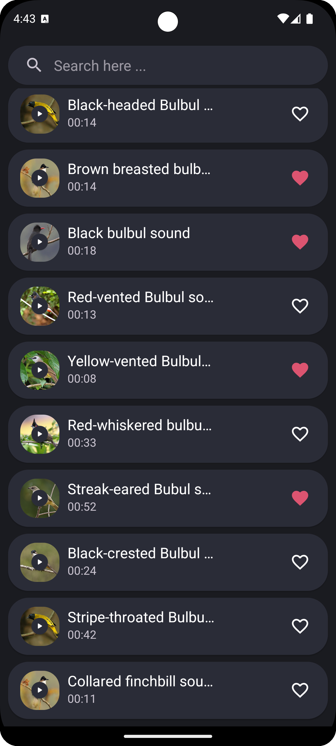 اسکرین شات 4 برنامه Bulbul bird sounds