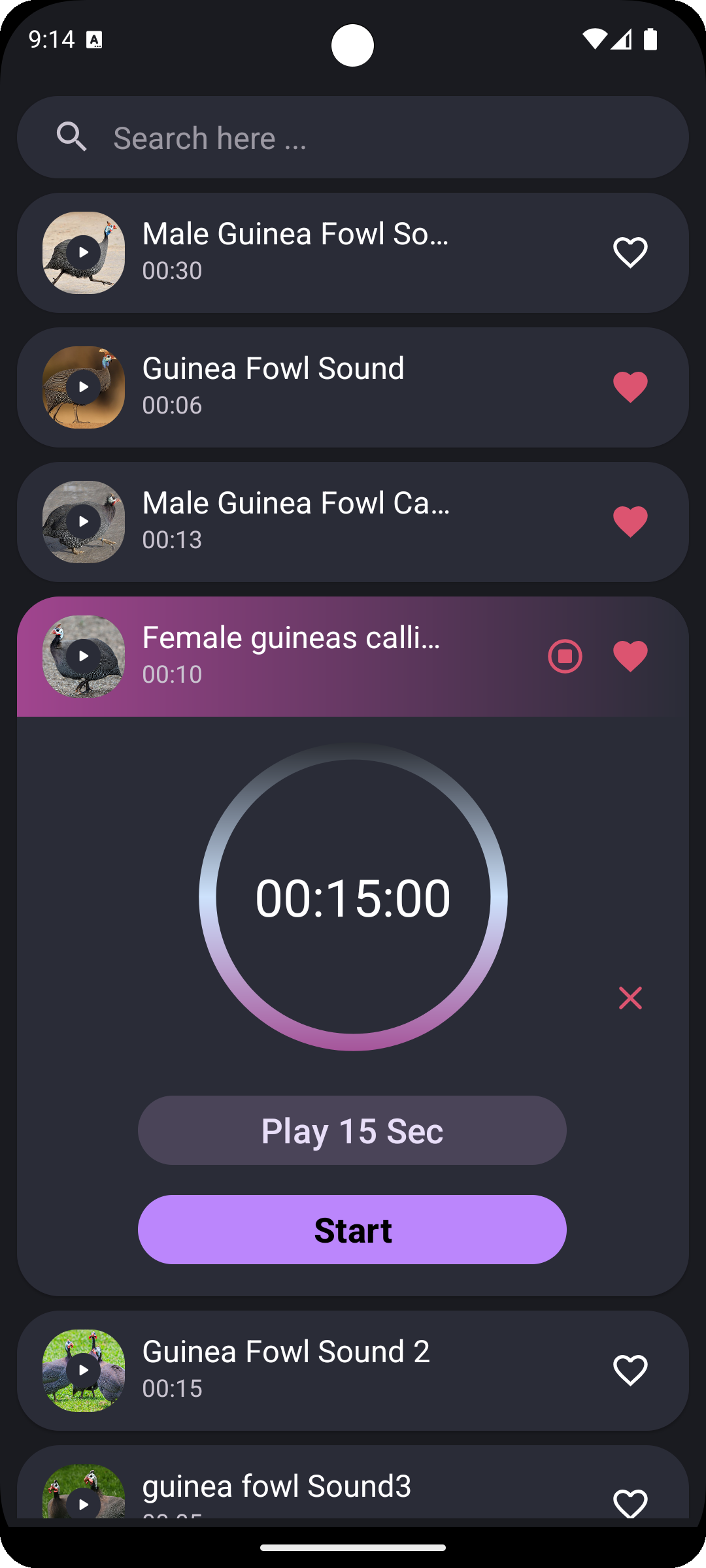 اسکرین شات 3 برنامه Guinea Fowl Sounds & Calls