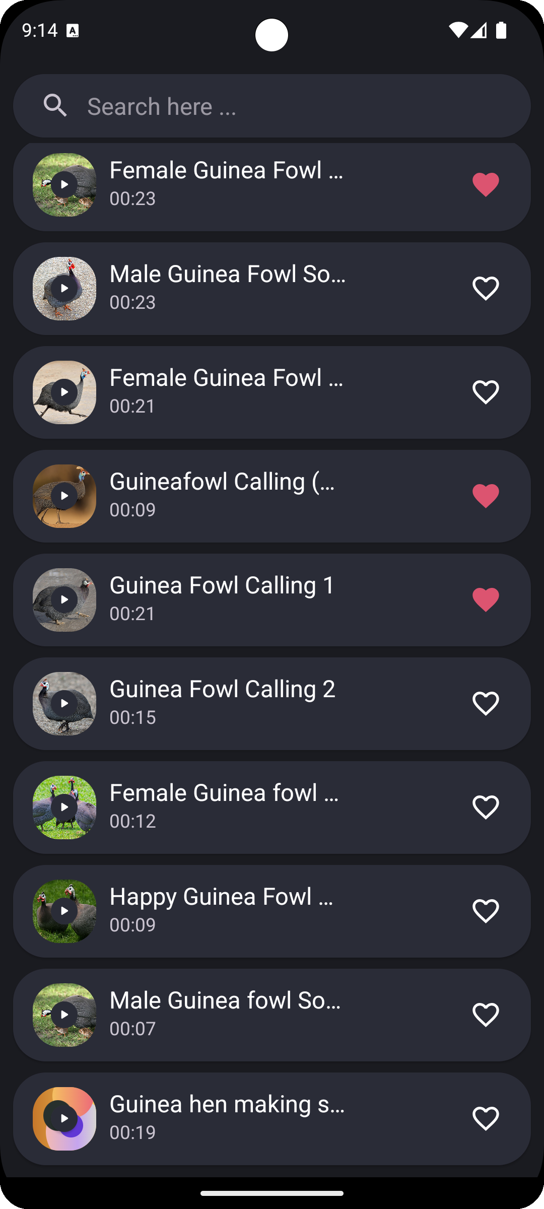 اسکرین شات 4 برنامه Guinea Fowl Sounds & Calls