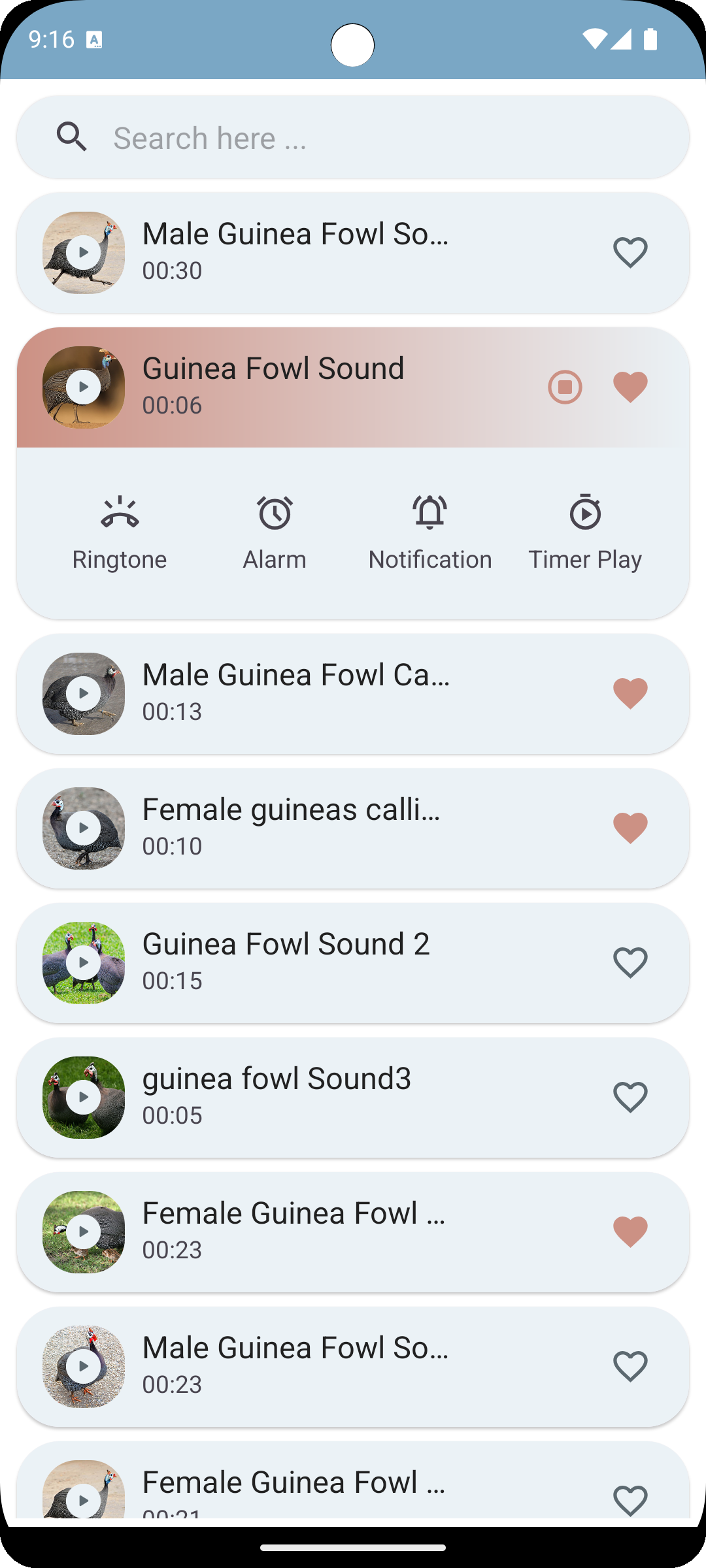 اسکرین شات 5 برنامه Guinea Fowl Sounds & Calls
