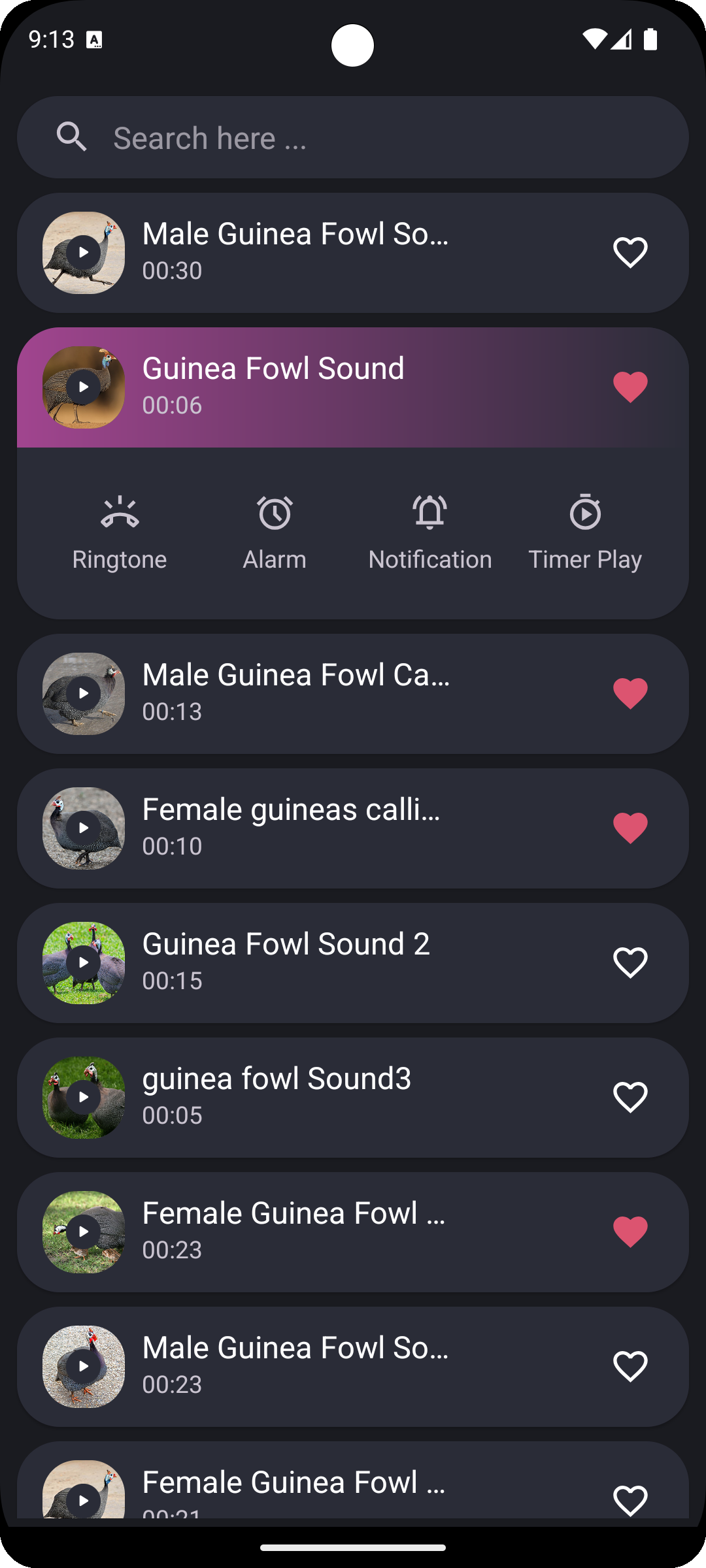 اسکرین شات 2 برنامه Guinea Fowl Sounds & Calls