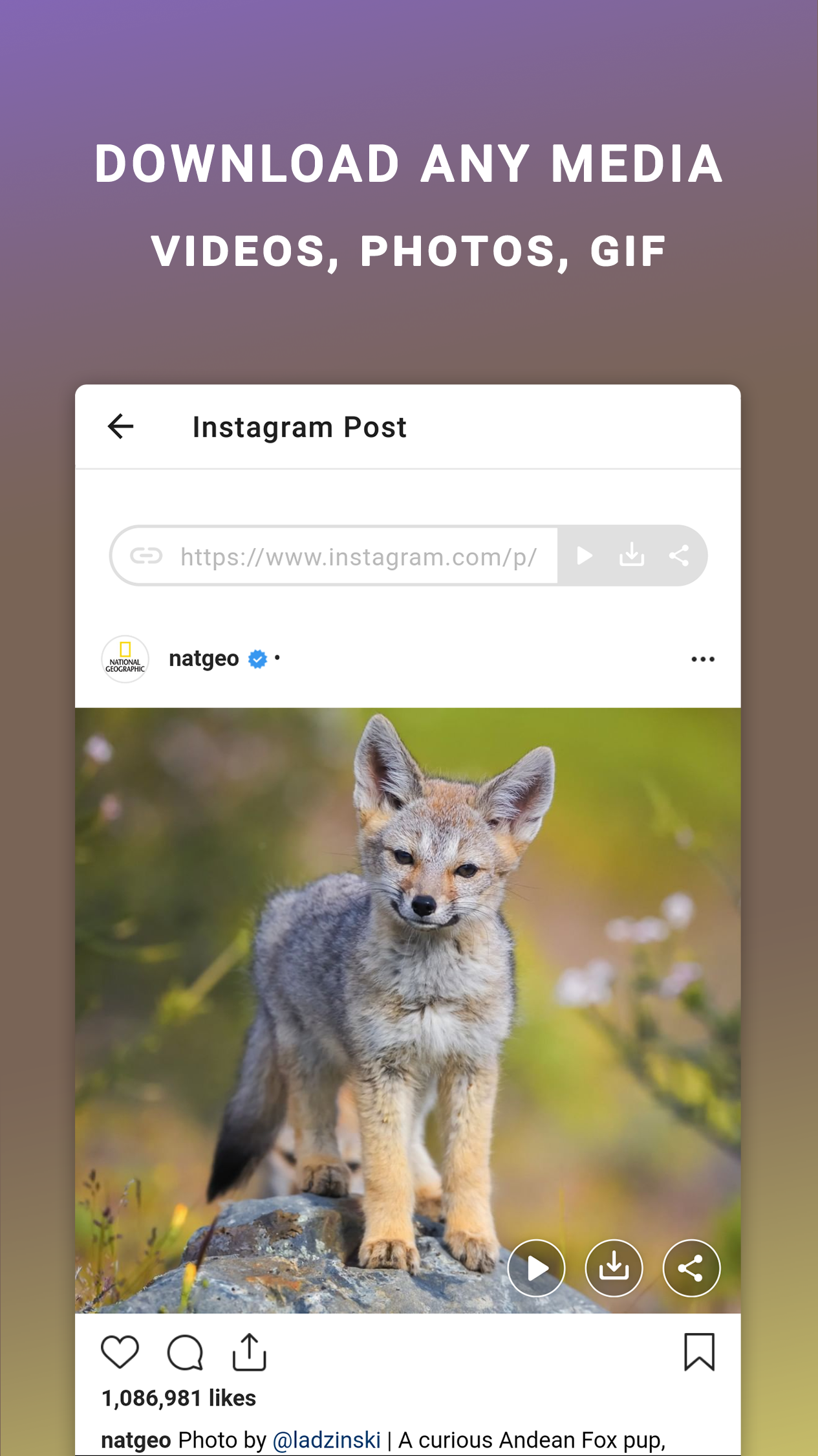 اسکرین شات برنامه Friendly For Instagram 2