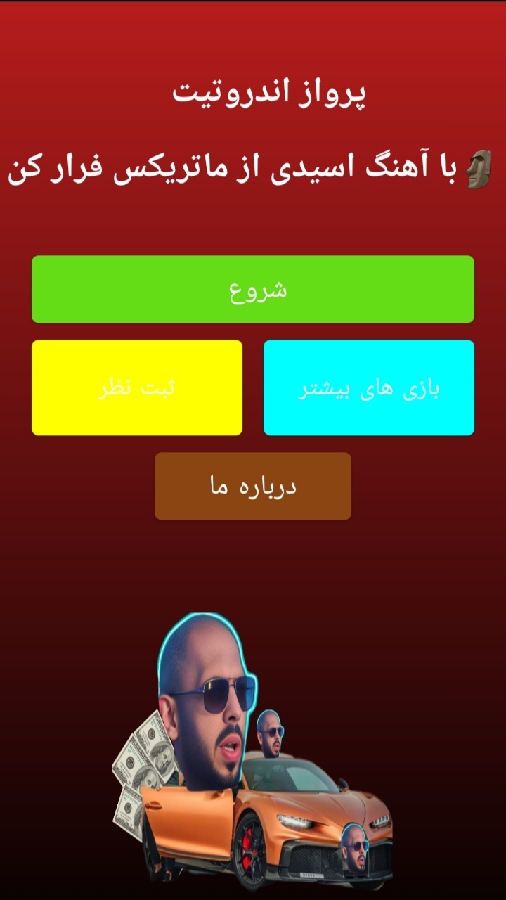 اسکرین شات 1 بازی اندروتیت پرنده