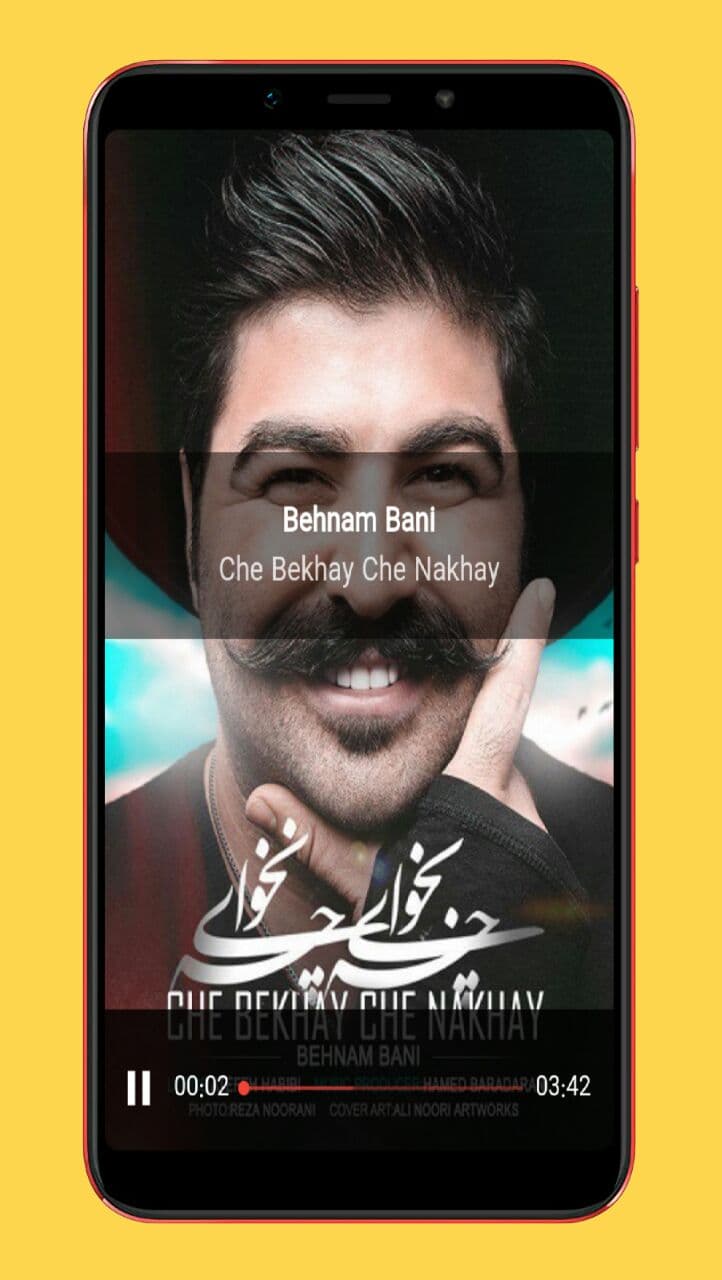 اسکرین شات 6 برنامه آهنگ های عروسی شاد